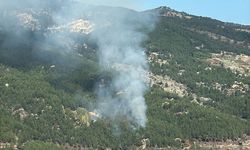 GÜNCELLEME - Muğla'da ormanlık alanda çıkan yangın kontrol altına alındı