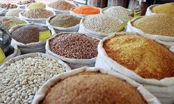 Güneydoğu Anadolu'nun hububat ihracatı 10 ayda 2,9 milyar dolara ulaştı