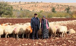 İkinci baharlarında belediyeden aldıkları destekle besici oldular