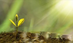 İklim finansmanında 2035'e kadar yıllık 1,3 trilyon dolarlık hedef 'ulaşılabilir ve gerekli'