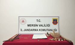 Mersin'de kaçak kazı yapan 4 şüpheli suçüstü yakalandı
