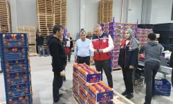 Antakya’da Paketleme Tesislerine Denetim