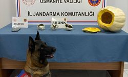Osmaniye'de bal kabağının içine uyuşturucu gizleyen zanlı tutuklandı