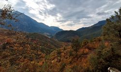 Saimbeyli ilçesinde ormanlık alanlar sonbahar renklerine büründü