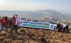 Hatay’da 11 Kasım Milli Ağaçlandırma Günü Hazırlıkları Başladı