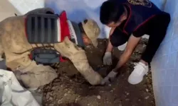 Samandağ'da Toprağa Gömülü Uyuşturucu Ele Geçirildi