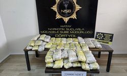Hatay’da Tır Dorsesinde 220 Bin Uyuşturucu Hap Ele Geçirildi