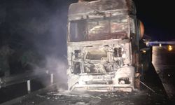 Adana'da seyir halindeki tankerde başlayıp ormanlık alana sıçrayan yangın söndürüldü