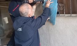 Antakya’da kedi kurtarma operasyonu