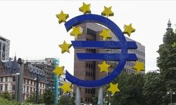 Avro Bölgesi'nde şirket faaliyetleri aralıkta arttı