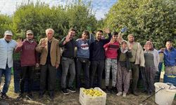 Binlerce ailenin geçim kaynağı limonun başkentinde hasat zamanı