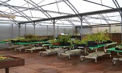 Hatay’da Büyük Çağrı: Bitki Hastanesi İle Tarım Kurtulsun!