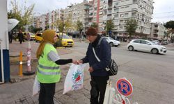Dokumapark'ta çocuklar hem eğlendi hem portakal topladı