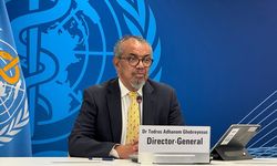 DSÖ, mutasyona uğramış H3N2 virüsünde yaşanan artış konusunda uyarıda bulundu