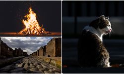 Dünya genelinde 2025'teki arkeolojik bulgular, insanlık tarihine ve mirasına ışık tuttu