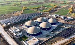 Elazığ'a kurulacak Cevizdere Besi Organize Tarım Bölgesi'nin altyapı çalışmaları tamamlandı