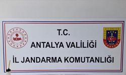 Elmalı’da jandarmadan uyuşturucu baskını