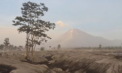 Endonezya'daki Semeru Yanardağı 6 kez patladı