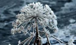 Erzurum, Ardahan, Kars ve Balıkesir'de soğuk hava etkili oldu