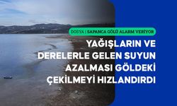 Gölden Kocaeli'ye bir yılda sağlanan su miktarı kadar kaynak yok oldu