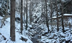 Gümüşhane'deki Çağlayandibi Şelalesi Tabiat Parkı beyaza büründü