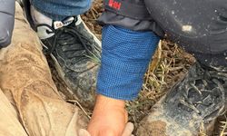 GÜNCELLEME - Hatay'da kayıp olarak aranan yabancı uyruklu çocuk gömüldüğü topraktan yaralı çıkarıldı