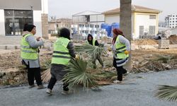 HBB İl Genelinde Çalışmalarını Sürdürüyor