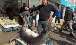 Hatay'da 138 kiloluk kılıç balığı ilgi odağı oldu