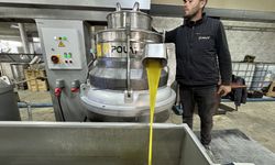 Hatay’da Zeytin Bereketi: Muhtarın Kurduğu Tesis Mahalleliye Aş Oldu