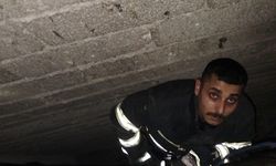 Havalandırma boşluğuna düşen yavru kediyi itfaiye kurtardı