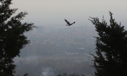 İran, hava kirliliğinin önlenmesi amacıyla Euro 5 benzin üretimini artırmayı hedefliyor