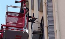 İskenderun'da klima motoruna dolaşan kuş kurtarıldı