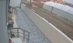 Kalp krizi geçiren adam duvarın üzerinden bahçeye düştü