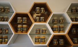 Karabük'te gençlerin ve kadınların istihdamını hedefleyen arıcılık projesi tamamlandı