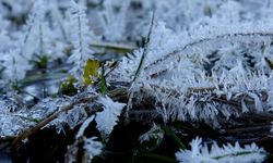 Kars'ta soğuk hava etkili oluyor