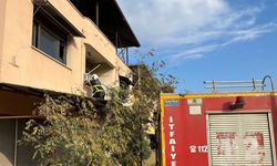 Kırıkhan’da çatıda mahsur kalan kediyi itfaiye kurtardı