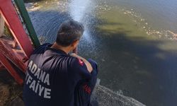 Kuraklık balıkları vurdu