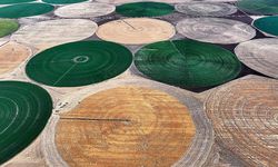 Lisanslı depoculukla bazı tarım ürünlerinin azami depolama süreleri uzatıldı