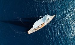 Orkaların yelkenlilerle etkileşimi genç bireylerin merak ve öğrenme davranışı olabilir