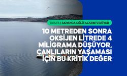 Sapanca Gölü'ndeki kuraklık suyun sadece miktarını değil kalitesini de düşürüyor