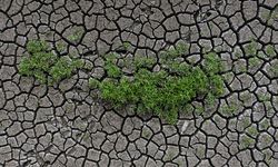 Toprak ile su kaybı, gıdayı ve geleceği doğrudan tehdit ediyor