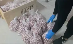 Hatay Dahil 72 İlde Dev Uyuşturucu Operasyonu: 970 Gözaltı