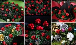 Yılbaşının Vazgeçilmezi Kokina: İnanç, Gelenek ve Yoğun İlgi