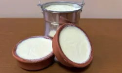 Hatay'daki Yoğurt Markasında Hileli İçerik Tespit Edildi!