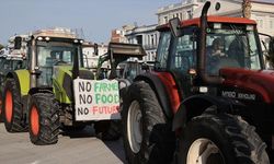 Yunanistan'da çiftçiler, Volos Limanı'nı ulaşıma kapattı