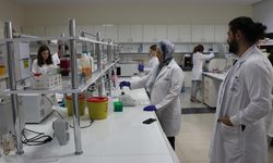 Akademisyenlerin geliştirdiği bor içerikli bileşenin kanser hücrelerine etkisine yönelik çalışmalar tamamlandı