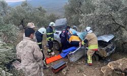 Altınözü'nde Zeytinliğe uçan otomobilin sürücüsü yaralandı