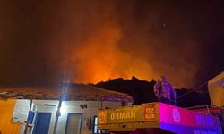 Antalya'da orman yangını