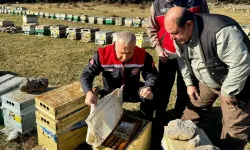 Hatay'da Arıcılık Ne Durumda? İl Tarım Müdürü'nden Yakın Takip