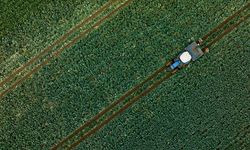 Çiftçilere 255,4 milyon lira tarımsal destekleme ödemesi bugün yapılacak